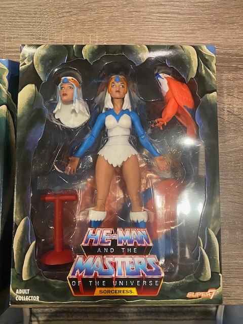 Super7 Masters of The Universe Club Grayskull - Sorceress Action Figure