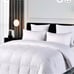 Royal hotel goose down king comforter