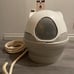 Cat Genie AI Free shipping