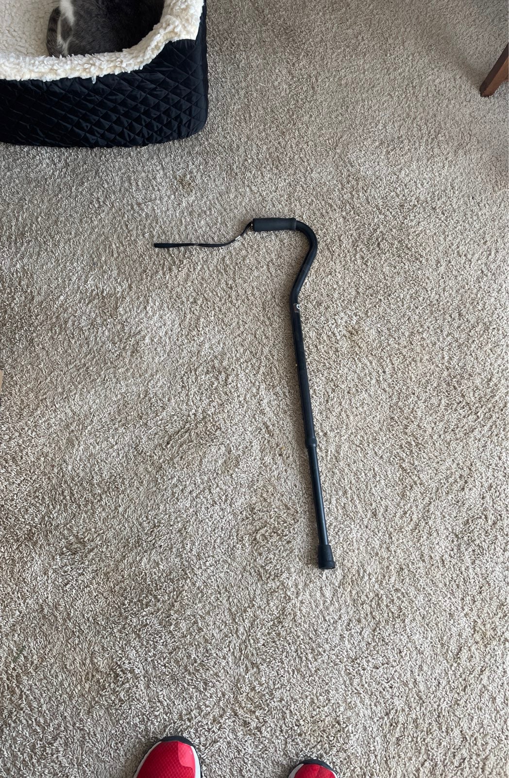 A cane