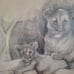 Lioness And Cub Sketch Art Work Signed