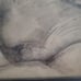Lioness And Cub Sketch Art Work Signed