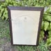 Olympia Beer Advertising Vintage Bar Mirror Girl Etched Framed Pale Ale Man cave