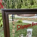 Olympia Beer Advertising Vintage Bar Mirror Girl Etched Framed Pale Ale Man cave