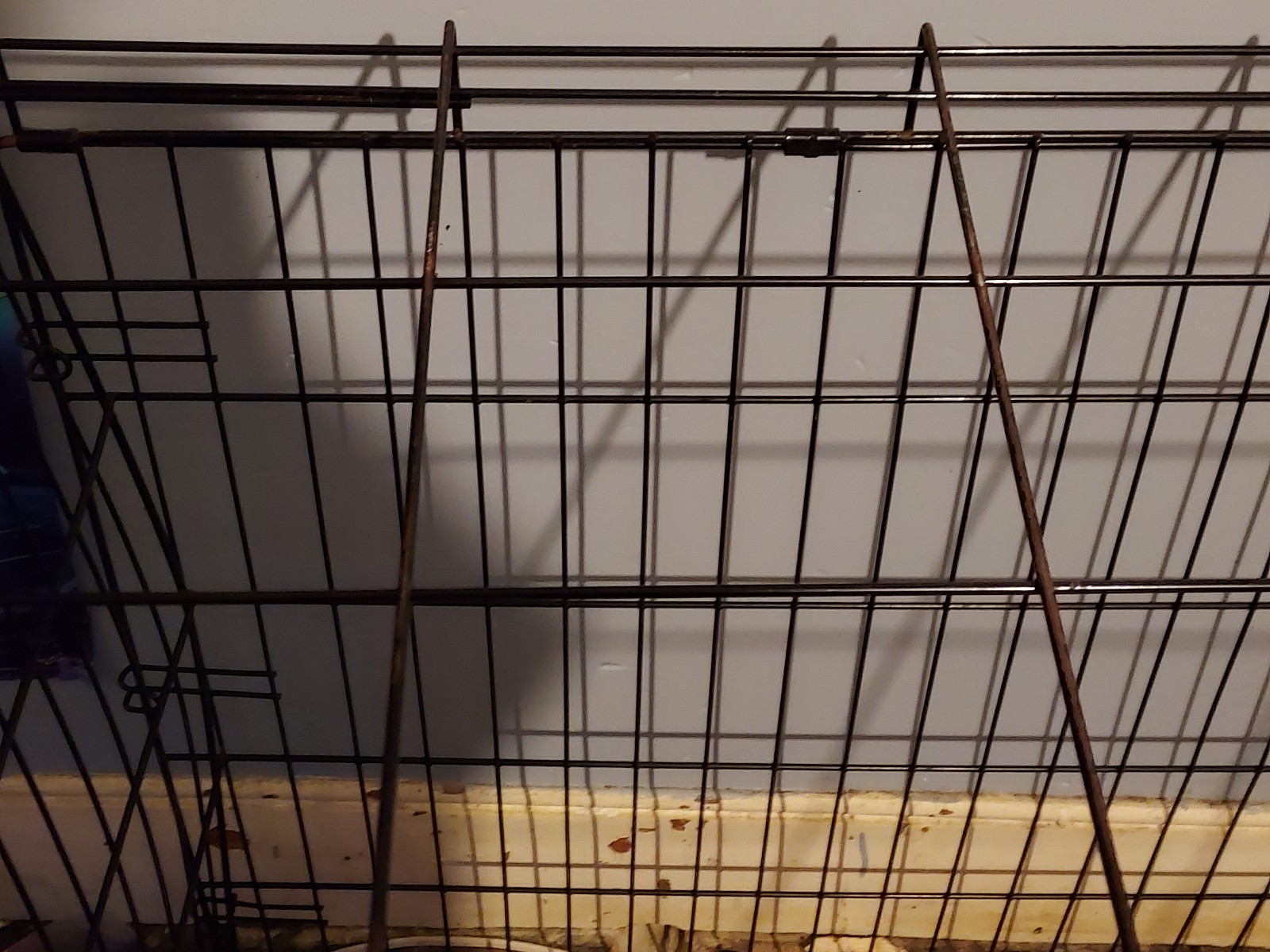 Dog Cage for any size Dog