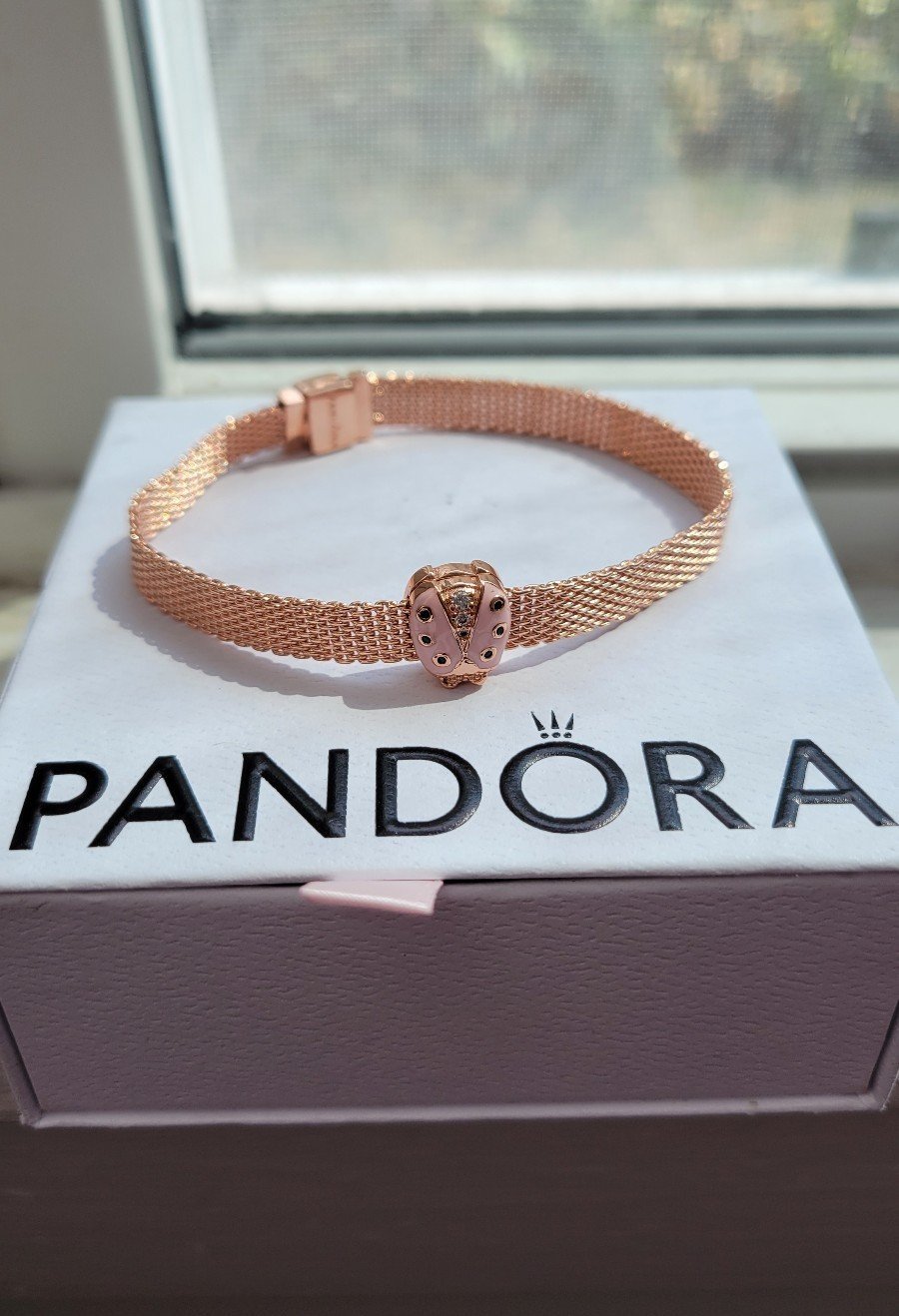 PANDORA Pandora Reflexions™ Mesh Bracelet with Pandora Charm 19cm