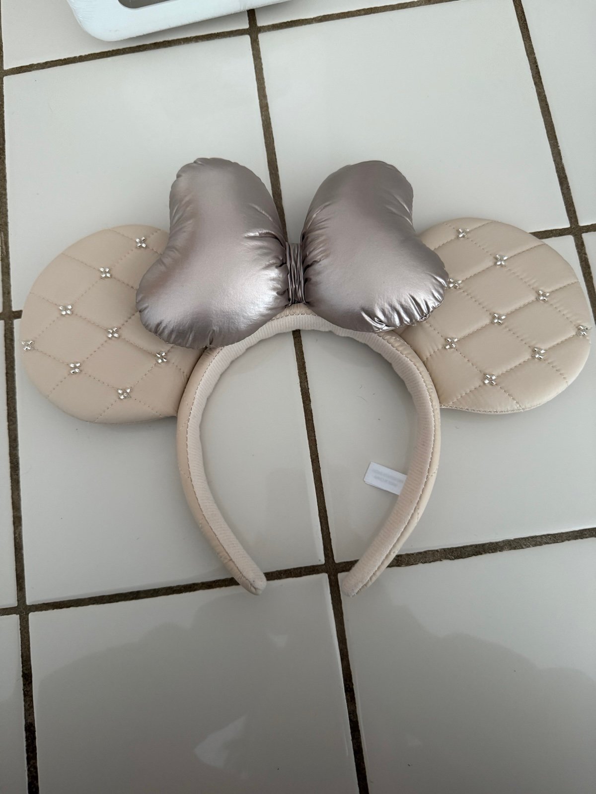 Disney Tokyo ears