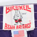 Birdwell Beach Britches Shorts Mens 30 Purple Swim Board Surf Beach USA Logo NWT