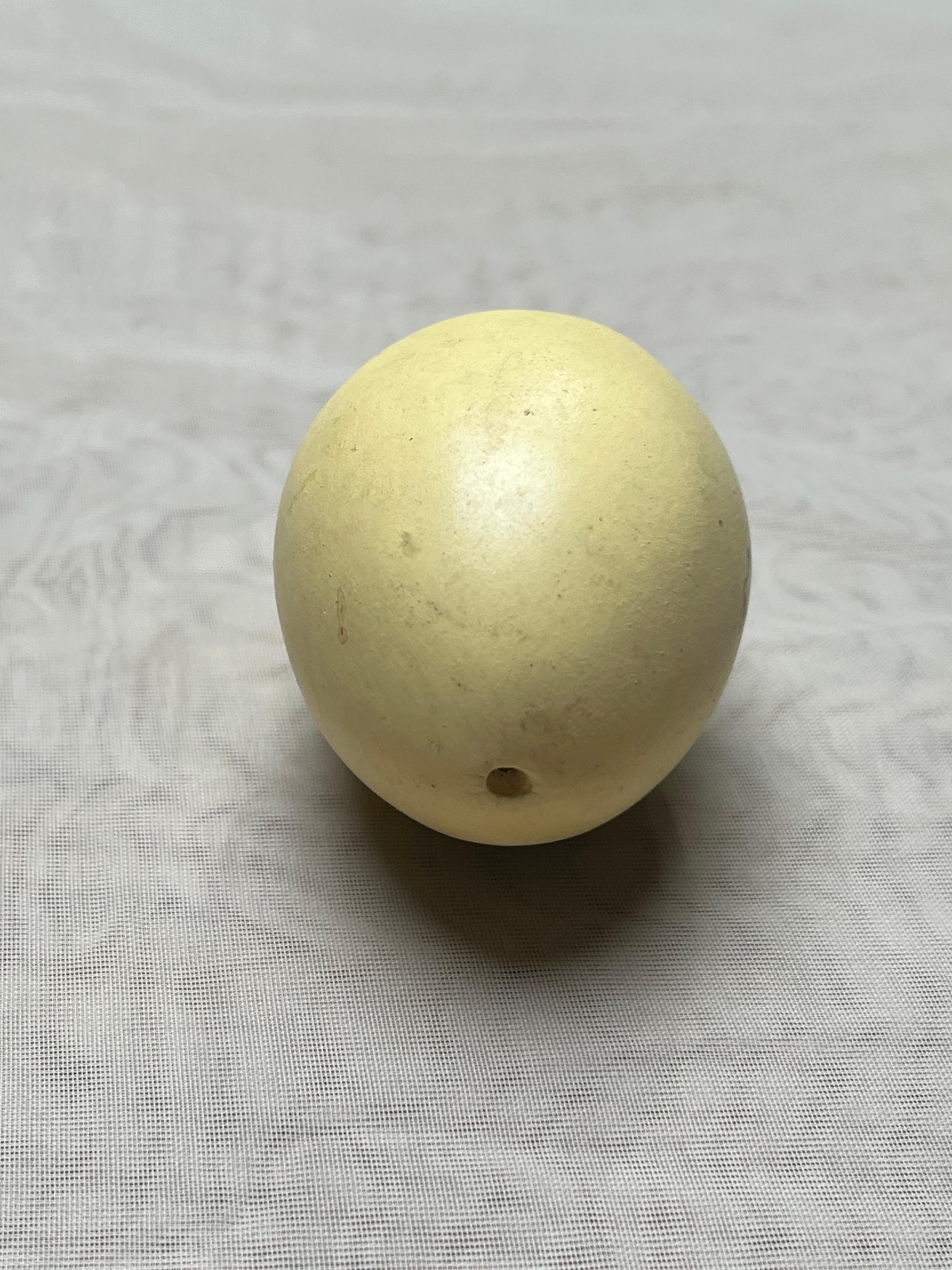 Egg light yellow salt / pepper shaker vintage