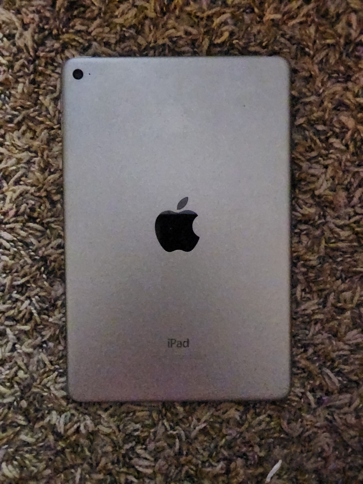 Apple iPad mini 4 unlocked