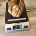 JESUS Christ Bethlehem Holy Land Carved Olive Wood Bust Sculpture 9 In Solid