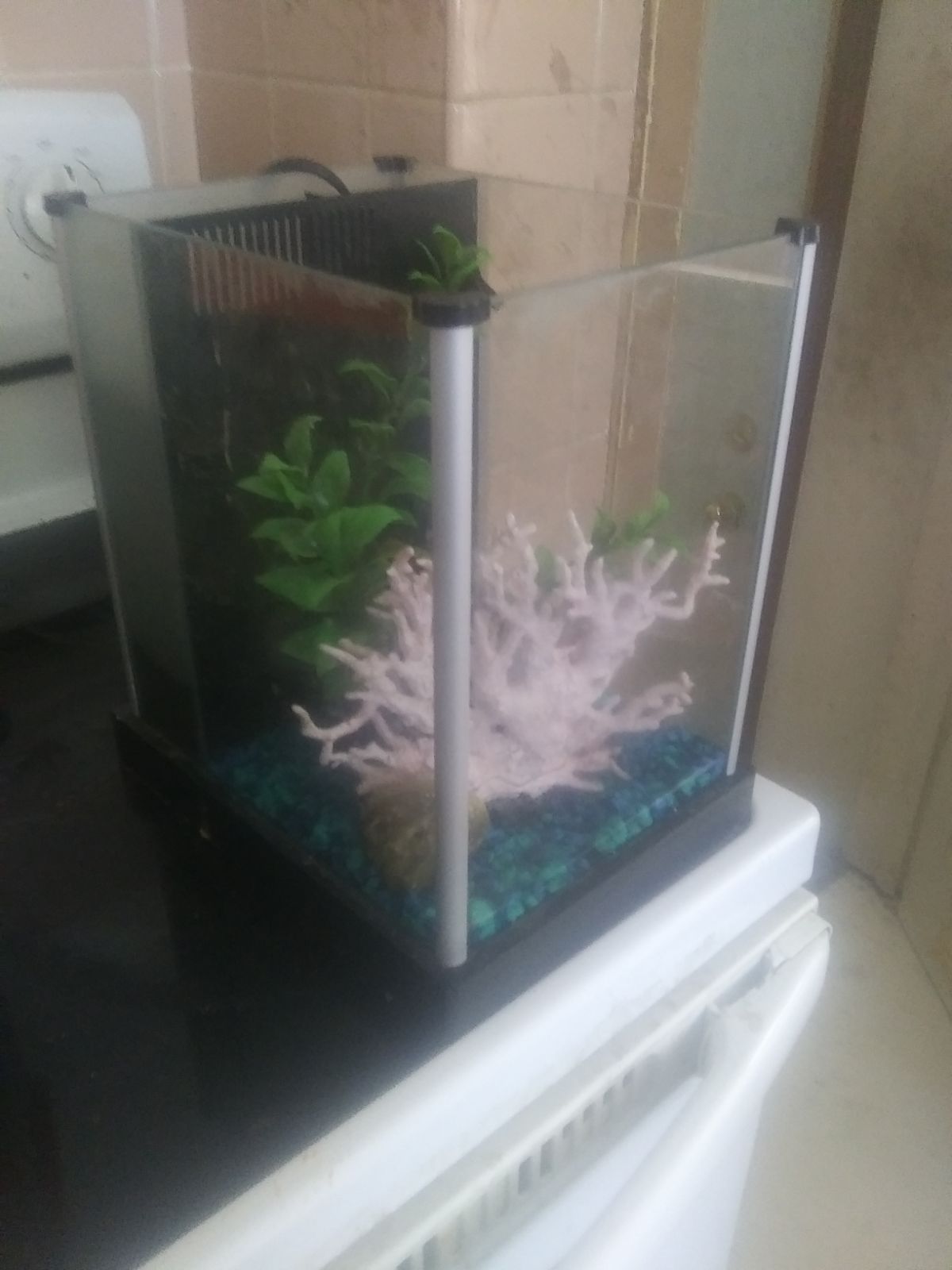 2.2 gal nano tank for saltwater or fhesh