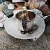 Antique Frank Whiting Sterling Baby Cup