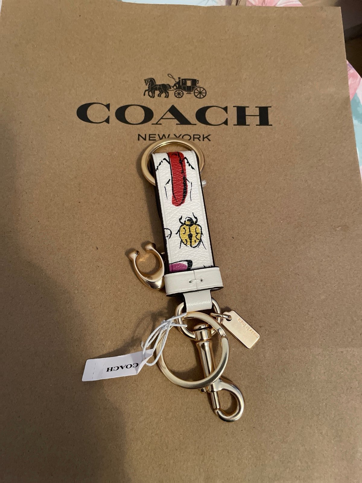 Coach keychain
