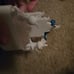 Disney Parks Sample Walt Disney World 2023 Mickey & Minnie Ornament