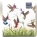 Five Packs of 20 13x13 of 3 Ply Meadow Buzz Environmentally Friendly Napkins New