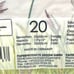 Five Packs of 20 13x13 of 3 Ply Meadow Buzz Environmentally Friendly Napkins New