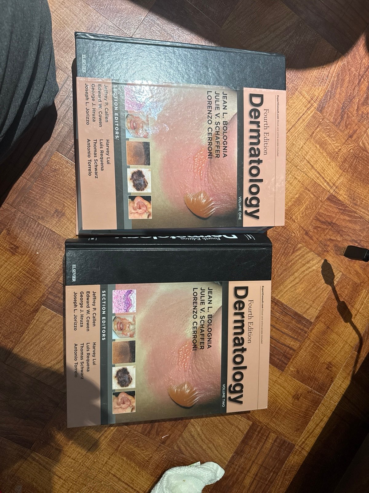 Bologna Fourth Edition Dermatology Textbook - Volumes 1 and 2