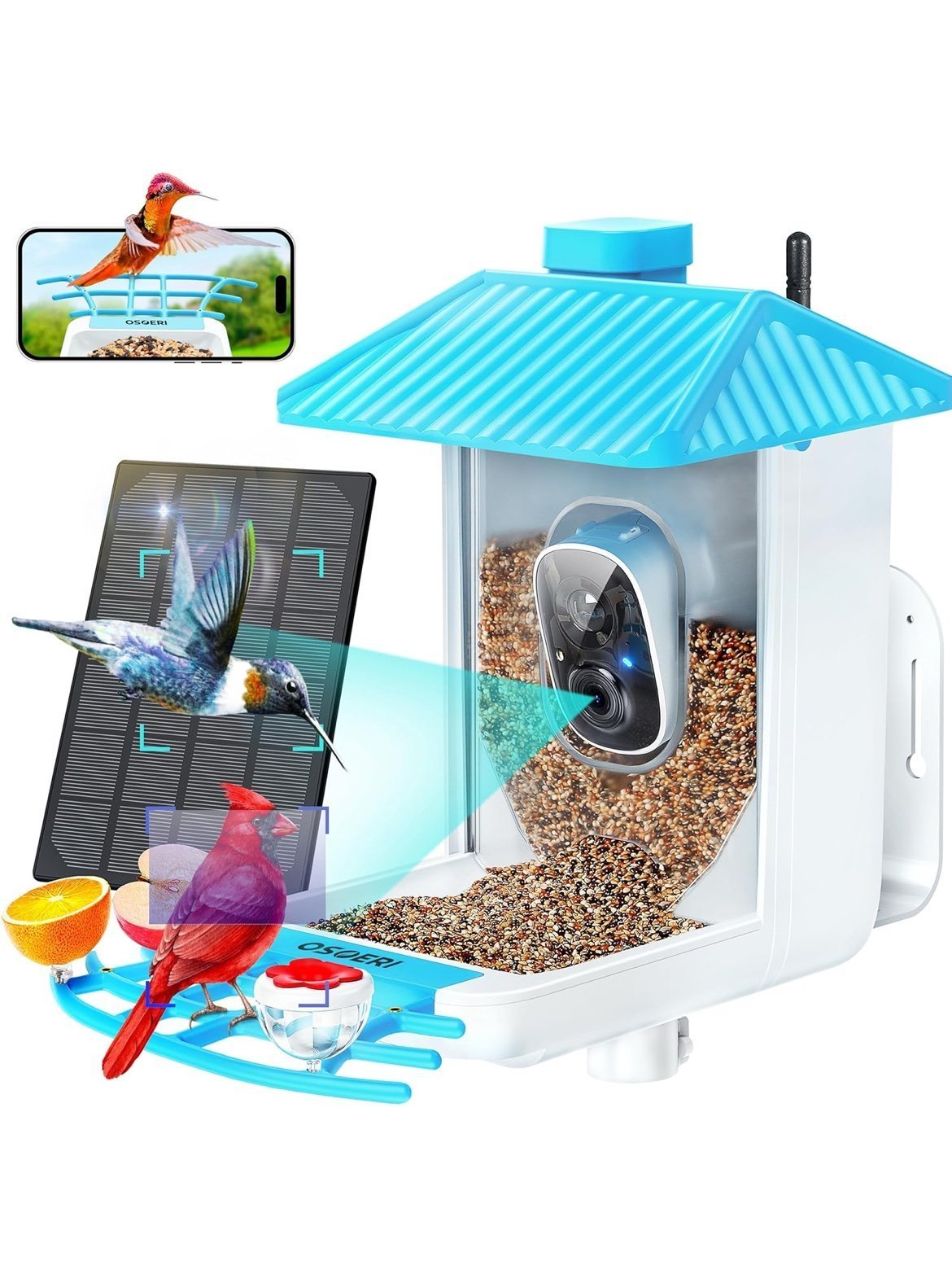 Osoeri Smart Bird Feeder with Camera, 1080P HD AI Identify Wild Bird Watching