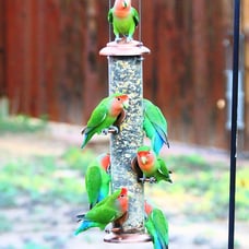 iBorn Metal Bird Feeders Brushed Copper Wild Bird Feeder for Outdoors Hanging Al