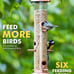iBorn Metal Bird Feeders Brushed Copper Wild Bird Feeder for Outdoors Hanging Al