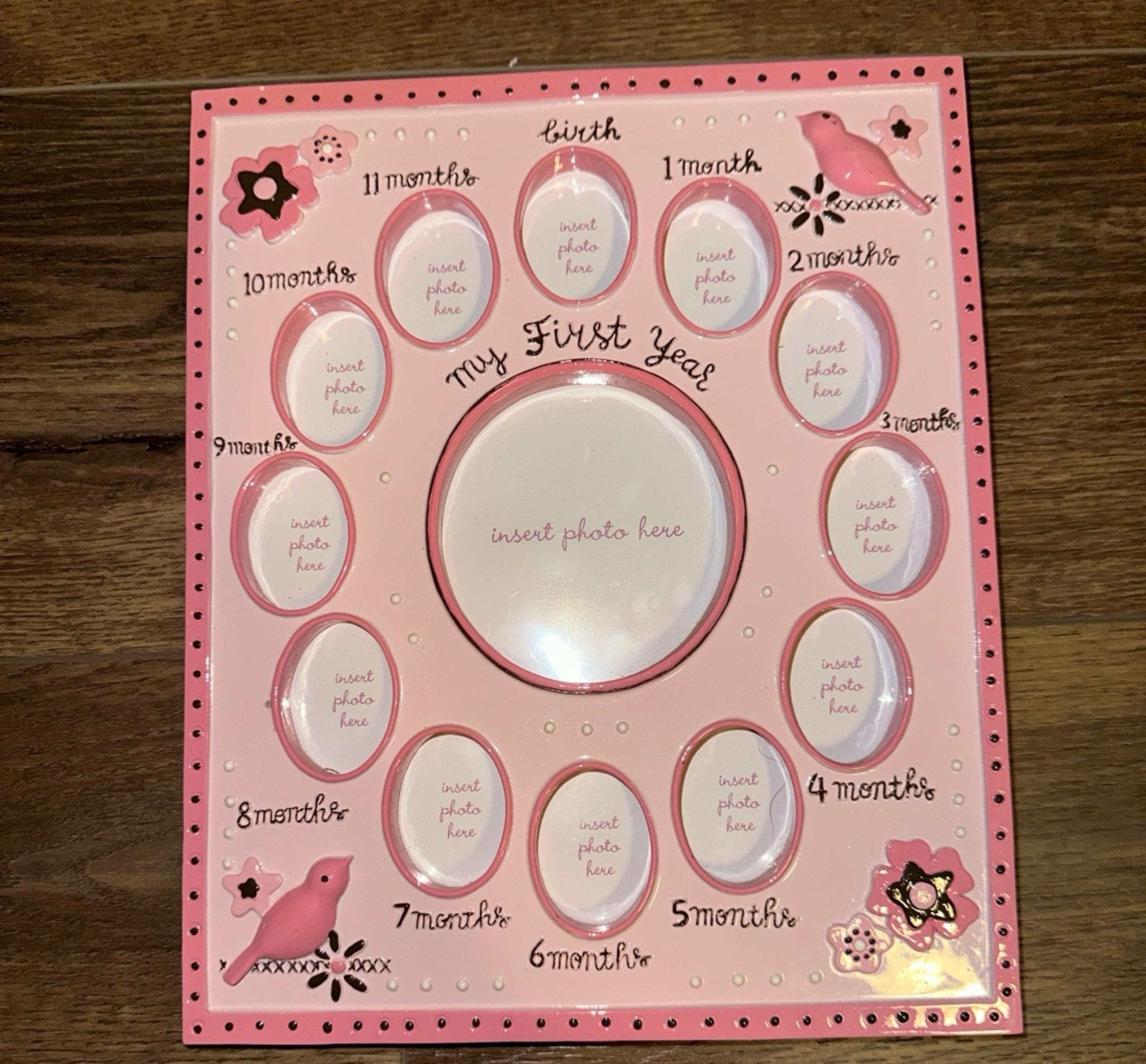 A.D. Sutton Baby Girl First Year Picture Frame