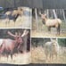 Our Canada by Peter N. Casey - Beautiful Oversized Hardcover Book - 75 MSRP