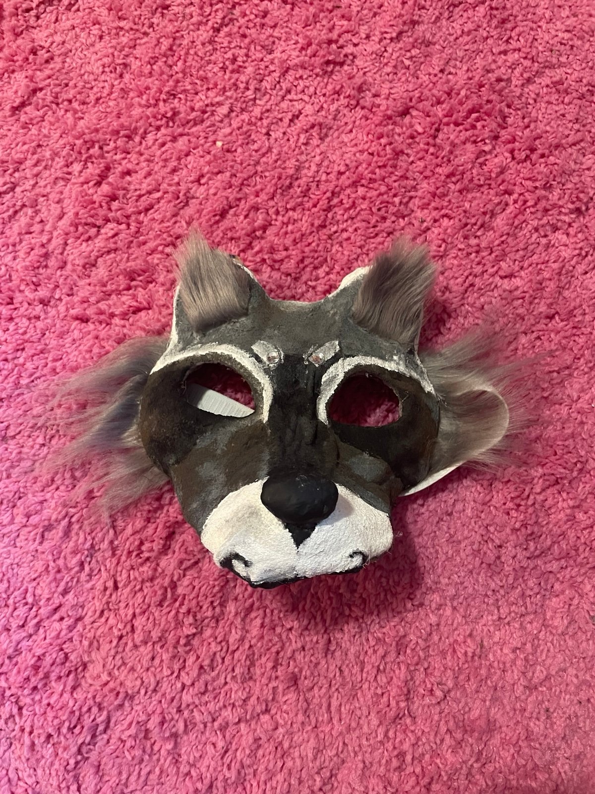 Raccoon Mask