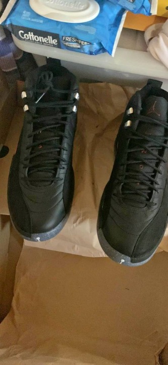 Nike air Jordan 12 retro Brand new never worn in box