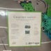 Jungle 2-Pc. Cotton Comforter Set, Twin/Twin XL