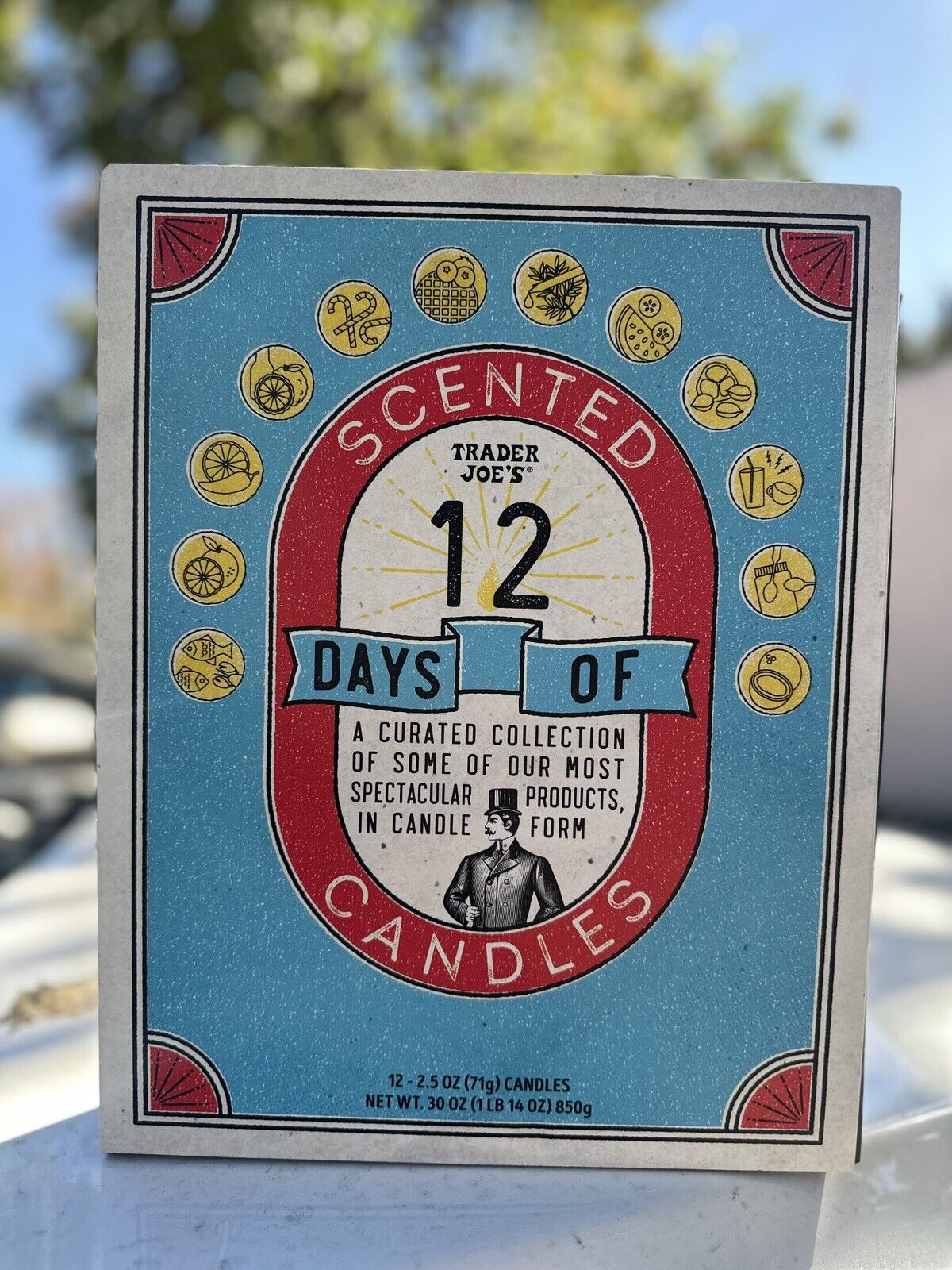 Trader Joe's 12 DAYS OF SCENTED CANDLES ADVENT CALENDAR Holiday 2024 New