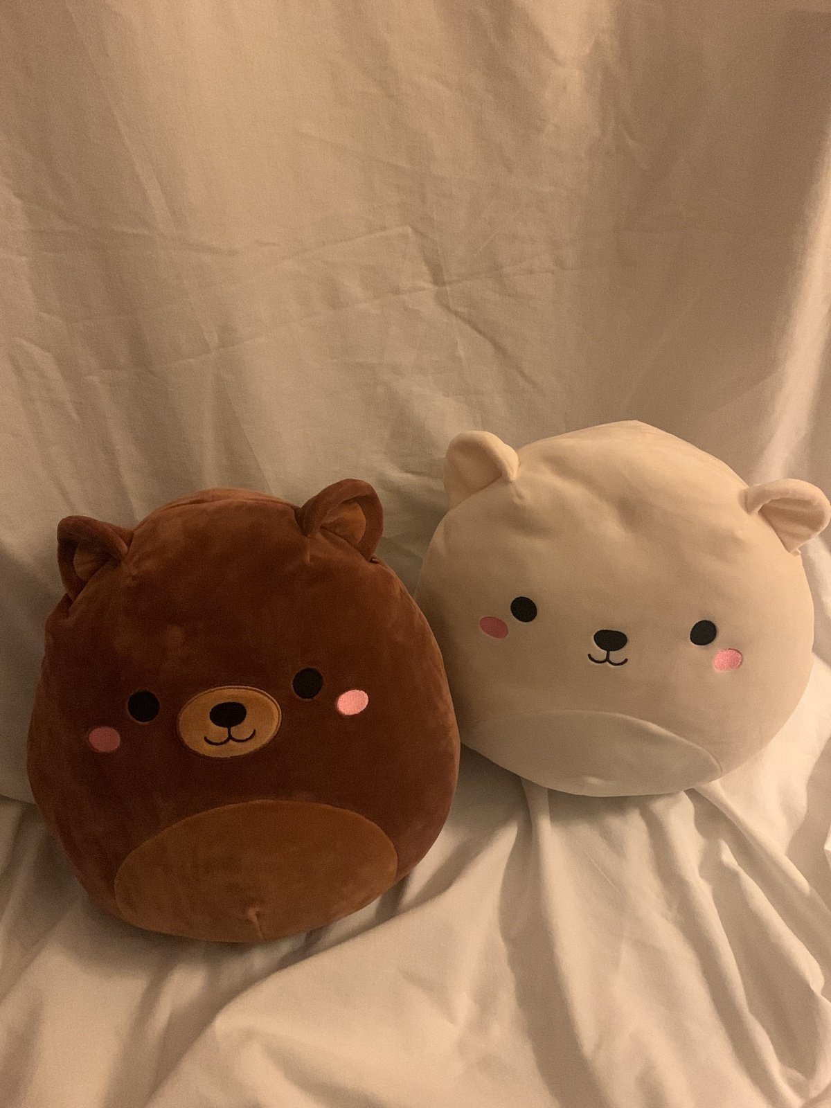 12” Brooke and Omar the Bears Squishmallow Bundle