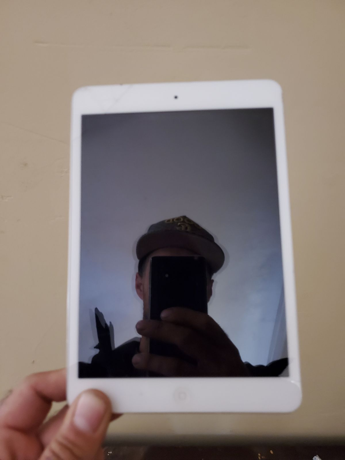 iPad mini 1st generation White & Silver