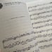 Treasure Island of Game Music 6: Ys III Wanderers from Ys Piano