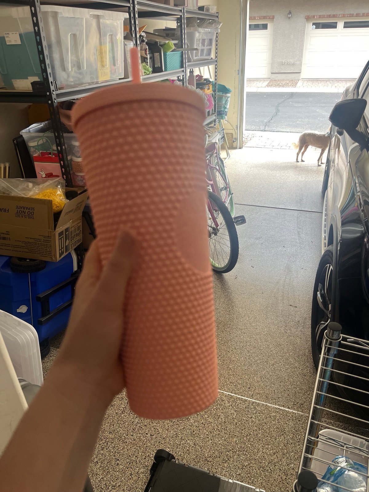 Starbucks rare peach studded tumbler brand new