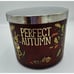New ~ Bath and Body Works ~ Woodland Forest ~ The Perfect Autumn ~ 3 Wick Candle