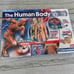 NEW The Human Body Skeleton & Organs Model by Clementoni Complete with DNA Model