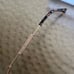 Jimmy Choo LEXS 59mm Sunglasses