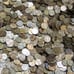 Are you an error collector or a coin collector this ad is strictly for you
