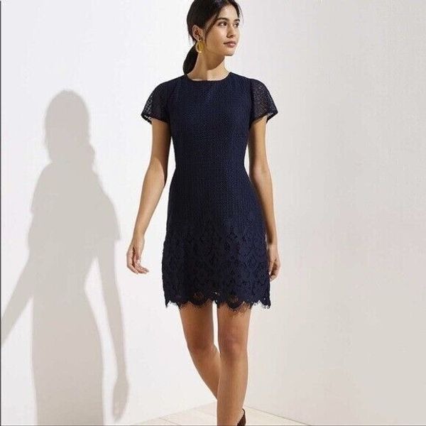 The Loft SZ 2 Navy Blue Lace Scalloped Hem Fit & Flare Dress Modest Chic Career