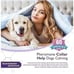 2x Box Dogs Calming Pheromones Collar, Relieve Reduce Anxiety or Stress