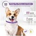2x Box Dogs Calming Pheromones Collar, Relieve Reduce Anxiety or Stress