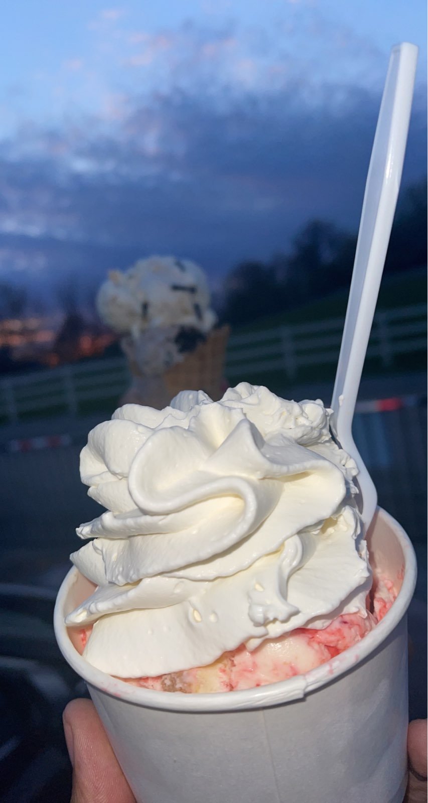 ice cream maker