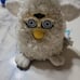 Furby