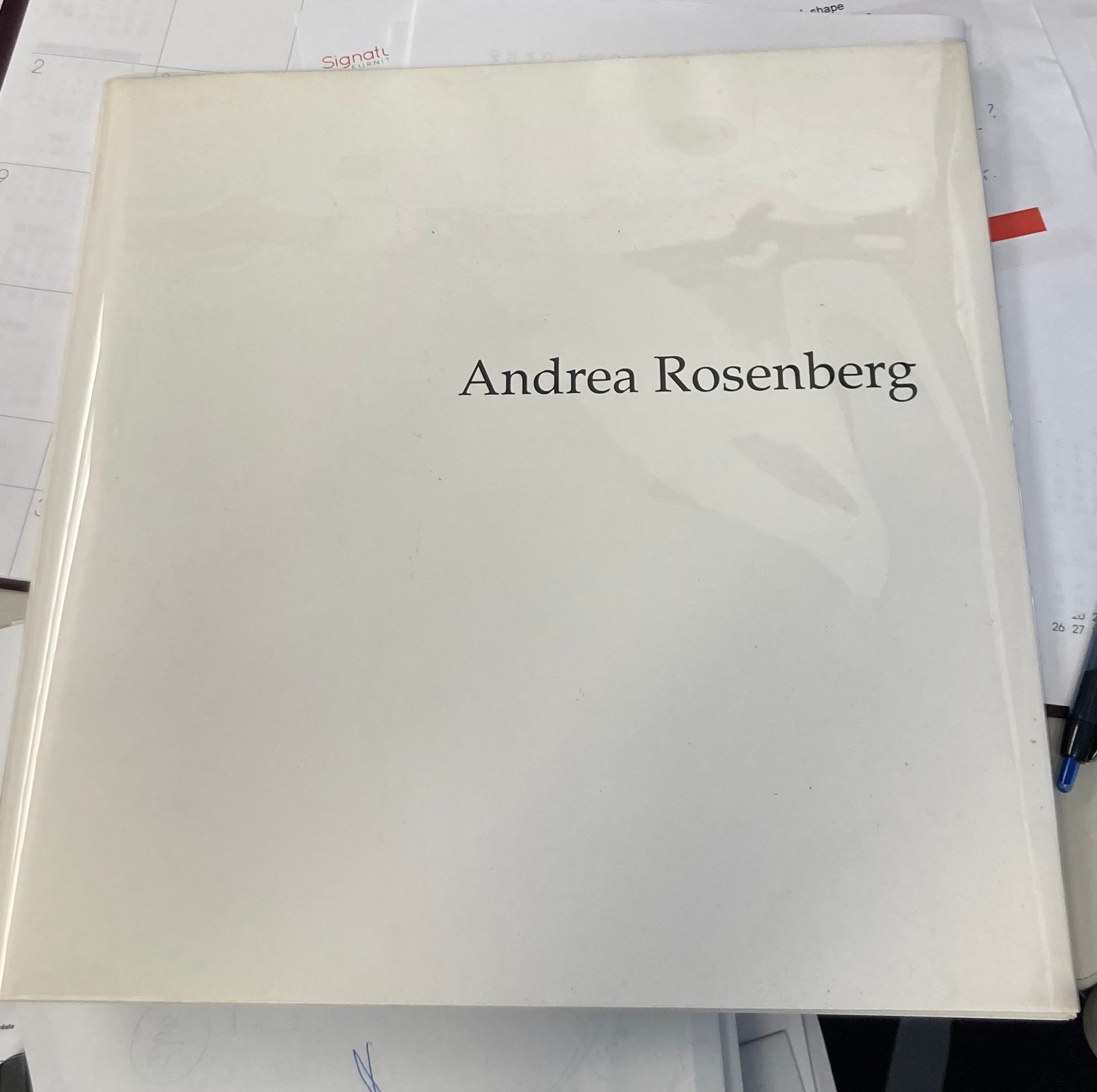 Art Catalog- Andrea Rosenberg Recent Drawings Nov 3-28,2000