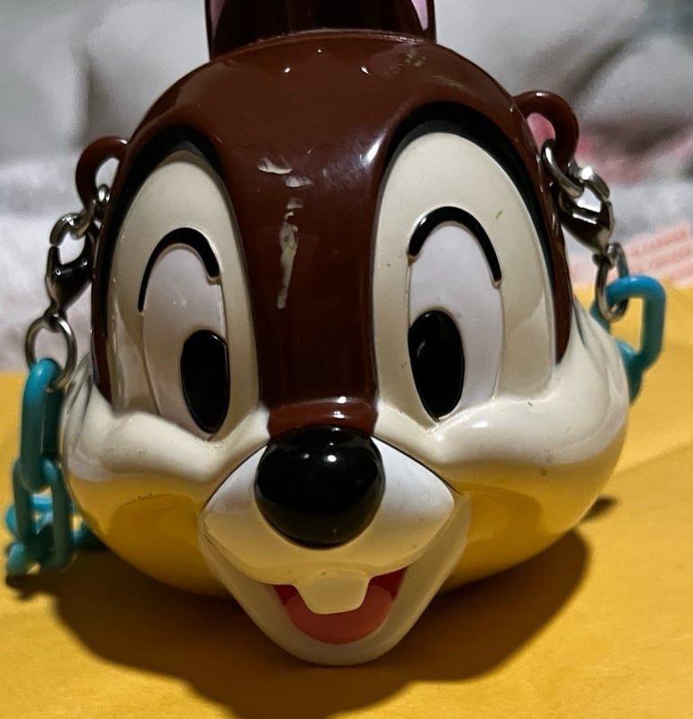 Vintage Tokyo Disney Chip Snack Case