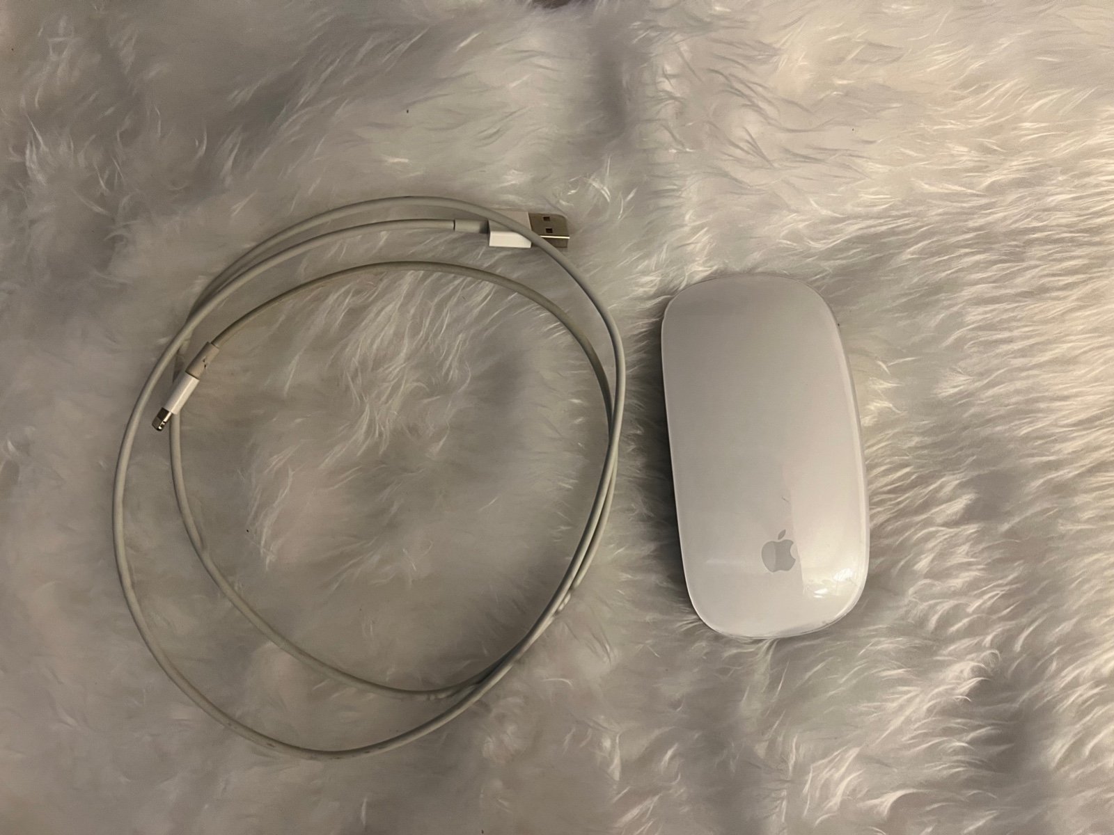 Apple Magic Mouse