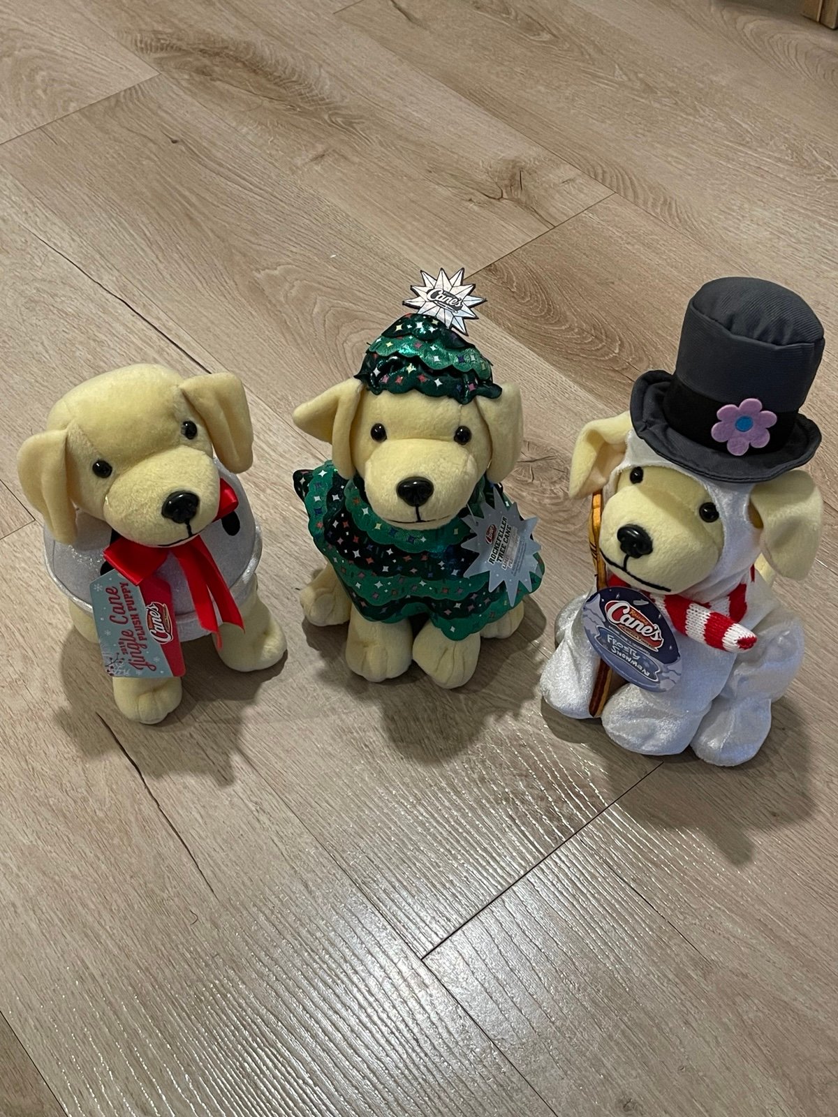 Raising Cane’s Plush Puppies