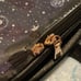 Cat ita bag