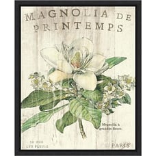 Magnolia de Printemps by Sue Schlabach Canvas Framed Art